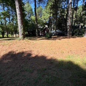 Weeding by Crutchfield Property Maintenance reviewed on October 25, 2022