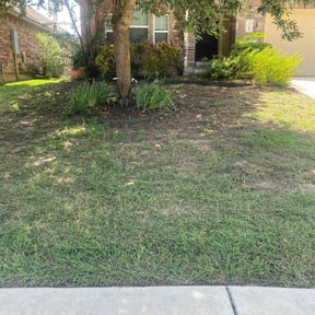 Flower Bed Weeding by Sun's Lawn Care LLC. reviewed on August 30, 2020
