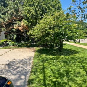 Leaf Removal by Let Us Do It For You reviewed on September 7, 2021