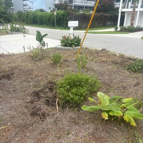 Cleanups by Bryan lawn care llc reviewed on August 9, 2025