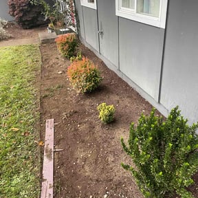 Flower Bed Weeding by Peoples Champ Lawn and Landscape reviewed on July 22, 2022