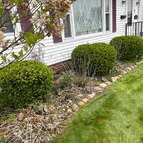 Bush Trimming by Cari lawn care reviewed on July 12, 2022