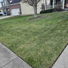 Leaf Removal by Three Palms landscaping service reviewed on June 9, 2022