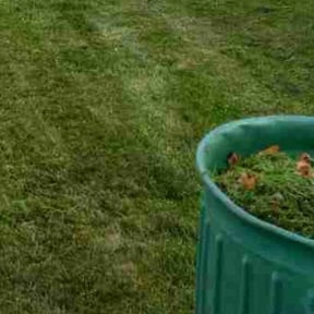 Flower Bed Weeding by Any Srervices Pro reviewed on July 26, 2022