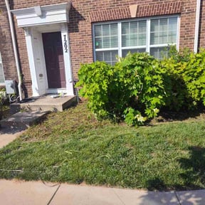 Flower Bed Weeding by A&A landscape reviewed on July 31, 2022