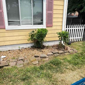 Bush Trimming by Ken's Landscaping and Remodeling reviewed on May 1, 2022