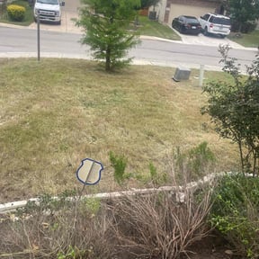 Leaf Removal by KevnLori Professional Lawn Care LLC reviewed on June 7, 2022