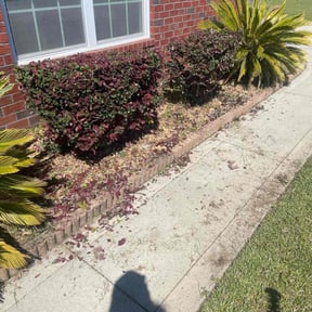Bush Trimming by AG lawn service reviewed on August 8, 2022
