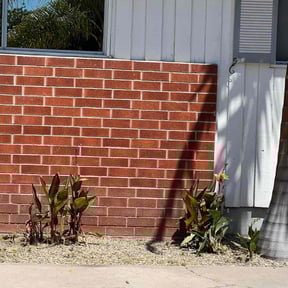 Flower Bed Weeding by Keith Dalke reviewed on June 9, 2022
