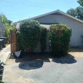 Leaf Removal by Professional Home Maintenance reviewed on April 12, 2022