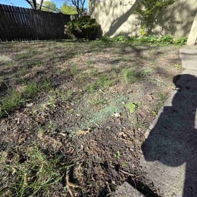 Lawn Seeding by E and A landscape and design reviewed on August 5, 2024