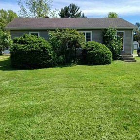 Bush Trimming by Custom Cuts Lawn Care reviewed on August 1, 2022