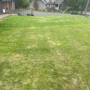 Leaf Removal by Geno's landscaping reviewed on July 3, 2022