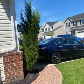 Bush Trimming by Royal Scenery LLC reviewed on July 27, 2022