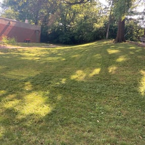 Bush Trimming by Bro J's LawnCare &amp; Landscaping reviewed on November 1, 2024