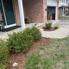 Landscaping by 911 lawn and home care reviewed on April 14, 2025