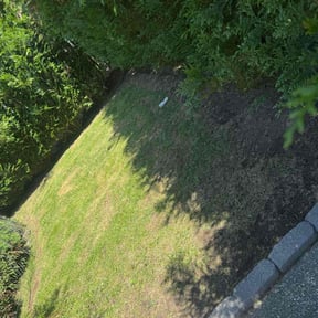 Mulching by Family Lawn Care reviewed on June 22, 2022