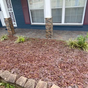 Bush Trimming by Metamorphosis Landscaping reviewed on June 9, 2025