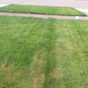 Leaf Removal by Precision Lawn Care of VA reviewed on May 4, 2022