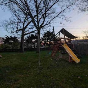 Leaf Removal by E&M Landscaping reviewed on December 8, 2021