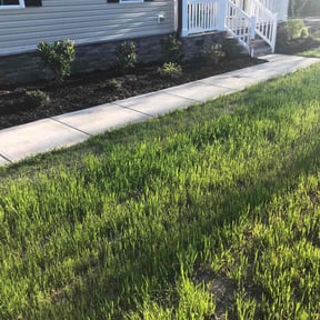 Mulching by Quality landscaping reviewed on October 25, 2022