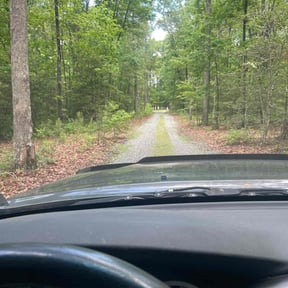 Weeding by Js Lawn Care reviewed on November 10, 2022