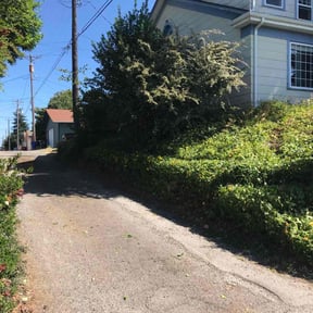 Bush Trimming by Vertical Lawn Care reviewed on June 30, 2022