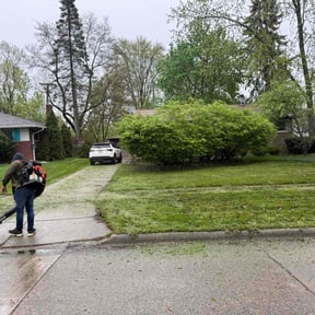 Leaf Removal by Pure Perfection Lawn care reviewed on July 22, 2020