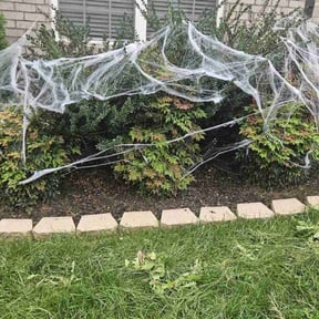 Flower Bed Weeding by R&L DEVINE LANDSCAPE reviewed on April 14, 2022