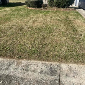 Bush Trimming by Fresh Cuts Lawn Professionals reviewed on June 13, 2025