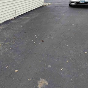 Leaf Removal by Artavius Clark reviewed on July 21, 2022