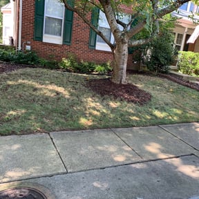 Leaf Removal by Greg&#039;s gardens reviewed on October 24, 2024