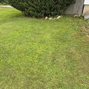 Bush Trimming by A+ Lamonds lawn&landscape reviewed on July 27, 2022