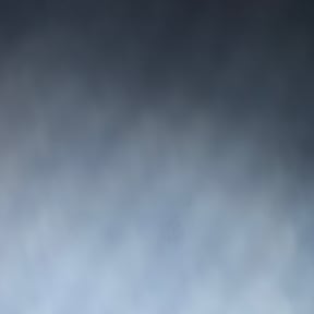 Bush Trimming by Y.A.Y Landscaping reviewed on May 12, 2025