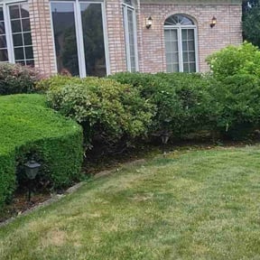 Bush Trimming by Dabney's landscaping and property preservation llc reviewed on May 25, 2025