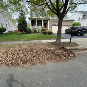 Leaf Removal by Torres Lawn Care reviewed on June 10, 2022