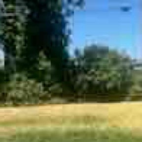 Weeding by T's Mow Blow &amp; Go reviewed on April 15, 2025