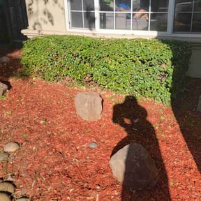 Bush Trimming by 3GUYSLAWNCARE reviewed on July 11, 2022