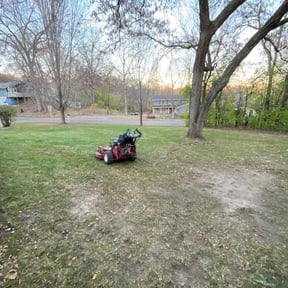 Leaf Removal by Handsome Boy’s LLC reviewed on June 15, 2022