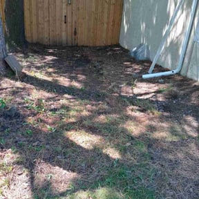 Leaf Removal by VonBerge Family Lawncare reviewed on November 15, 2024