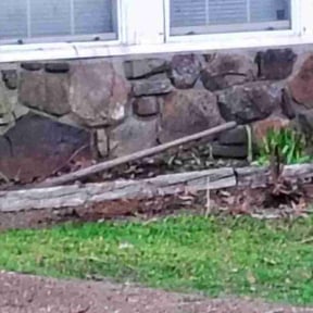Flower Bed Weeding by LSLTDallas/FortWorthTruGreen reviewed on June 11, 2025