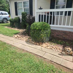 Bush Trimming by Maximum Landscaping &amp; Lawn care reviewed on July 17, 2025