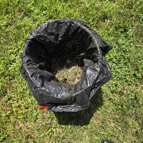 Cleanups by Lawn services reviewed on July 5, 2022