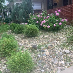 Flower Bed Weeding by Greenblade Mowing reviewed on November 24, 2024