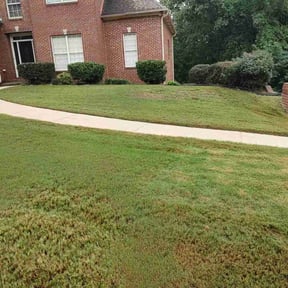 Bush Trimming by Patricks lawn service reviewed on July 22, 2022