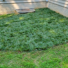 Landscaping by Wegotucovered reviewed on August 23, 2021