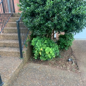 Flower Bed Weeding by MowBros reviewed on May 20, 2025