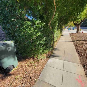 Bush Trimming by Early Bird Lawn Care LLC reviewed on June 3, 2022