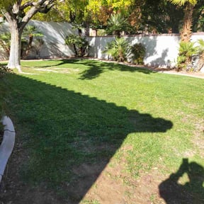 Bush Trimming by MNS Services reviewed on October 29, 2022