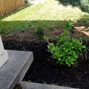 Flower Bed Weeding by K&#039;s Lawn Care reviewed on April 5, 2025